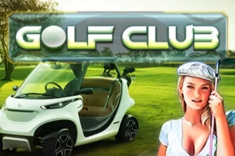 24493 golf club